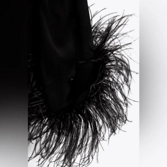 ZARA TOP WITH FEATHERS - Picture 4 of 6